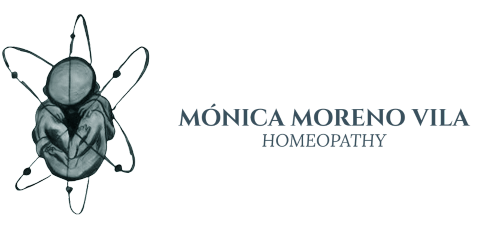 monicamorenovila.com
