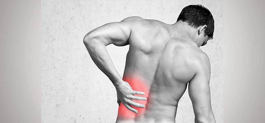 ACTAEA RACEMOSA EN LA HOMEOPATIA, IMAGEN LUMBAR